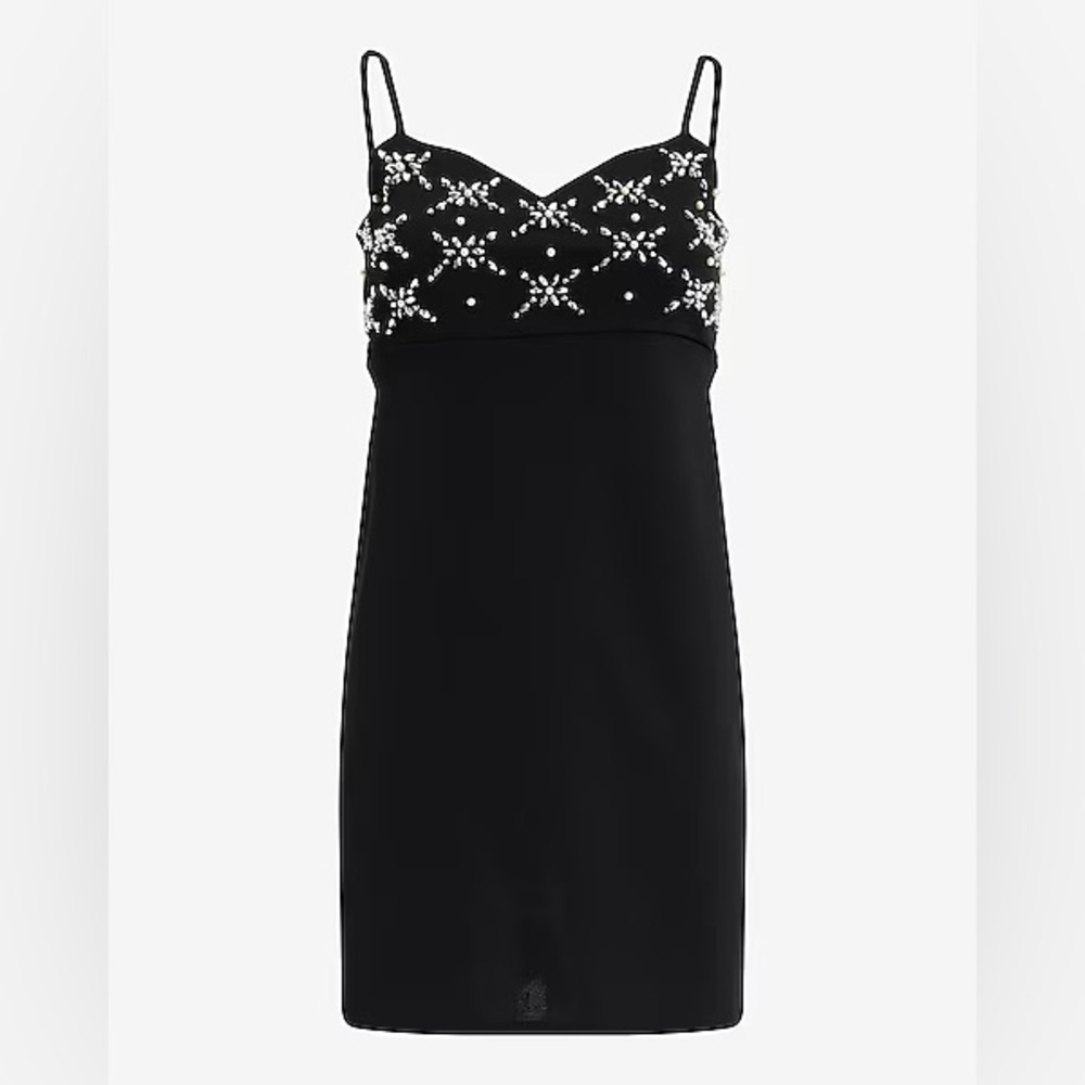 Express Embellished Dress